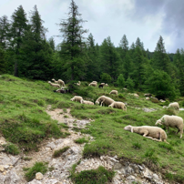 2. SLO Vršič Pass1