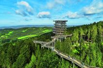 Bayerischer Wald10