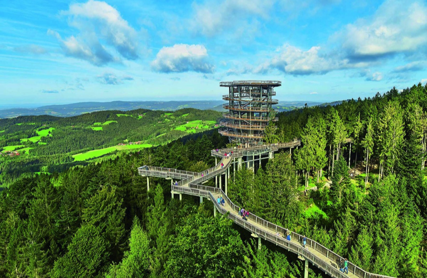 Bayerischer Wald10