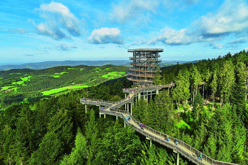 Bayerischer Wald10