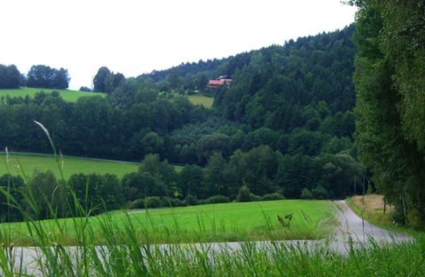 Bayerischer Wald12