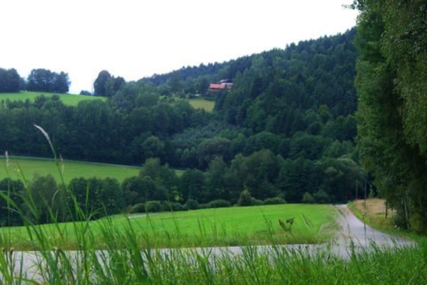 Bayerischer Wald12