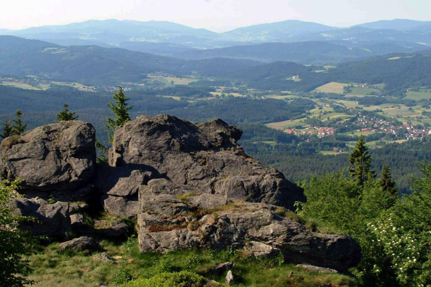 Bayerischer Wald8
