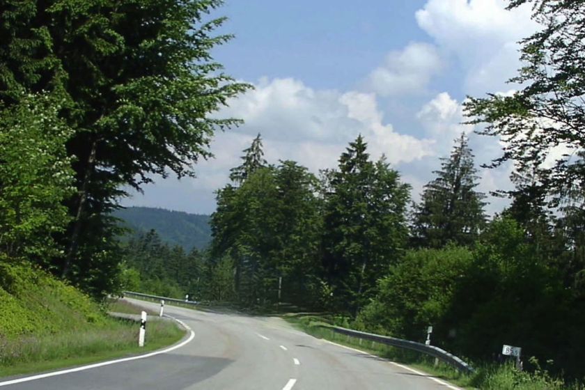 Bayerischer Wald9