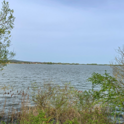 Fränkische-Seenland-Tour36