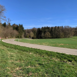 Ins Schwäbleländle1