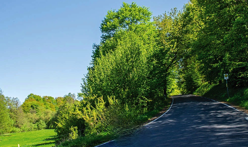 Rhön3