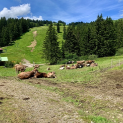 Riedberpass Tour 3-1
