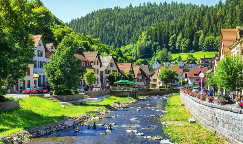 Schwarzwald2