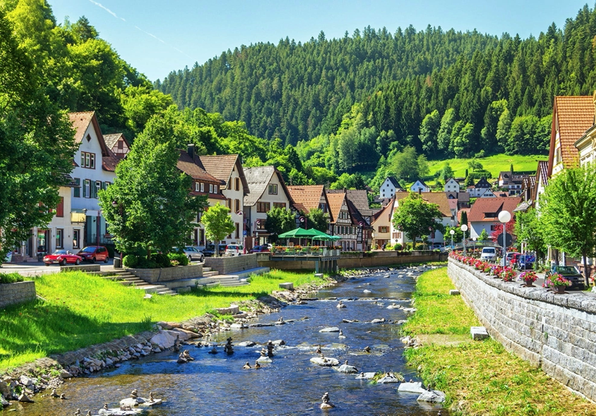 Schwarzwald1