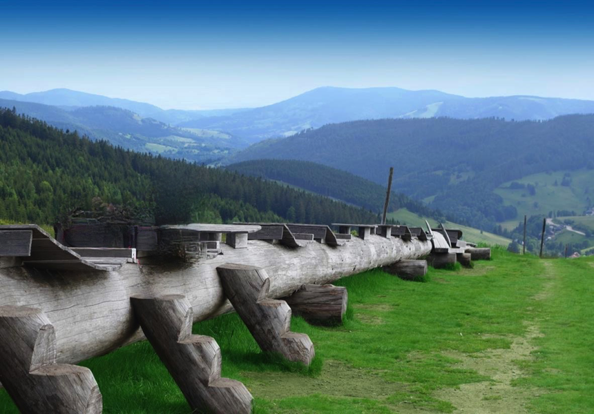 Schwarzwald3
