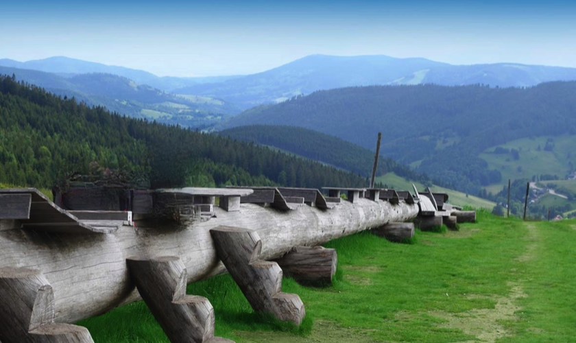 Schwarzwald3
