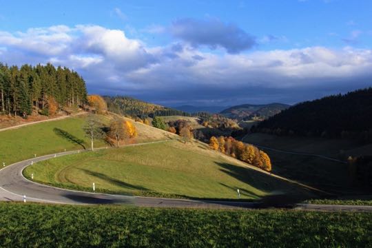 Schwarzwald5