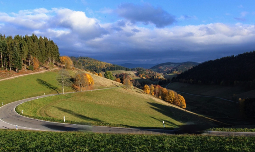 Schwarzwald5