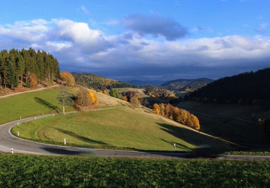 Schwarzwald1