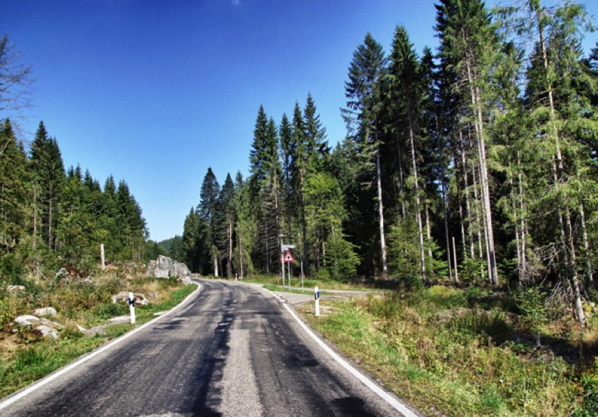 Schwarzwald6