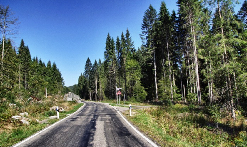 Schwarzwald6