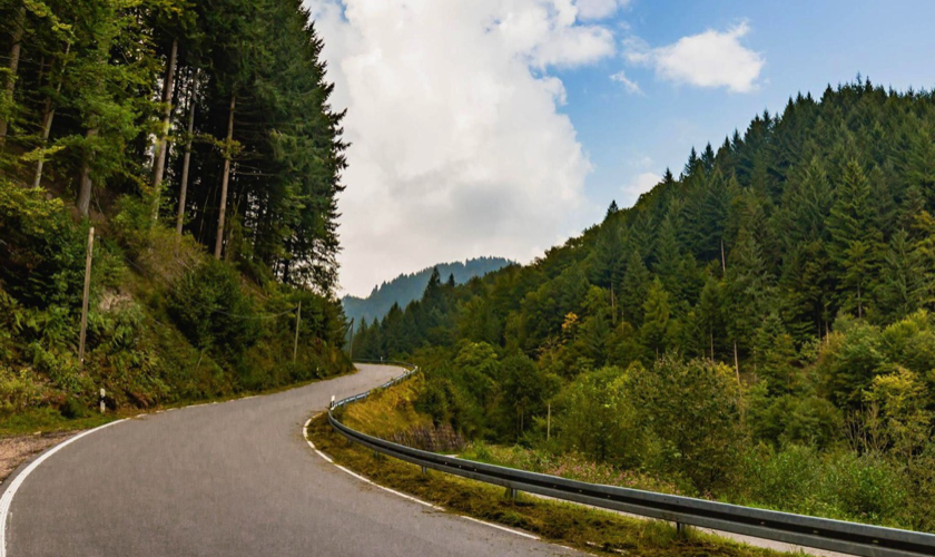 Schwarzwald7