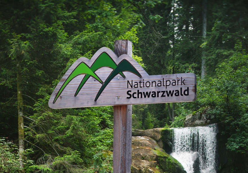 Schwarzwald1