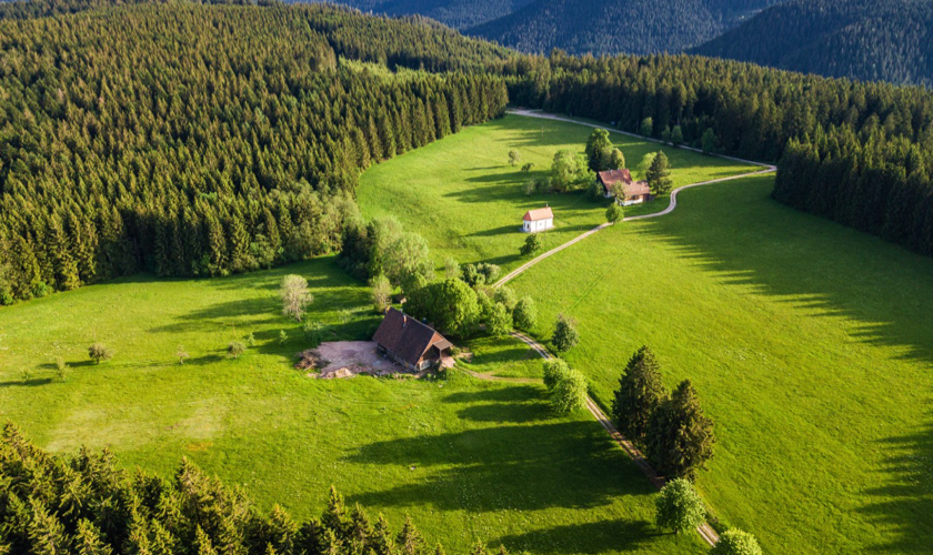 Schwarzwald9