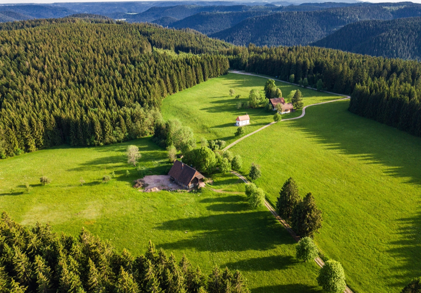 Schwarzwald1