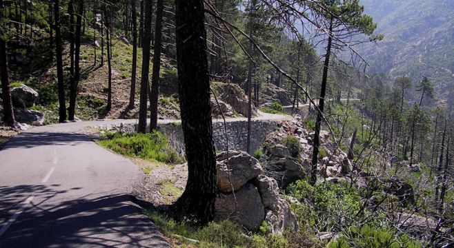 Straße zum Gasthaus Bergeries de Grotelle