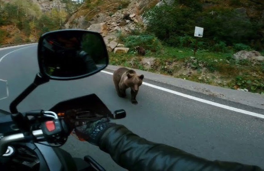 Transfagarasan1
