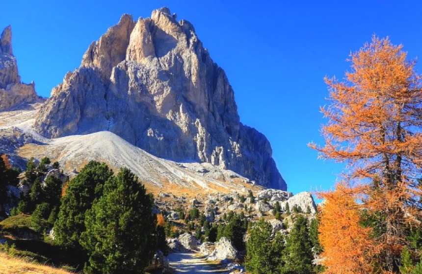 Trentino7
