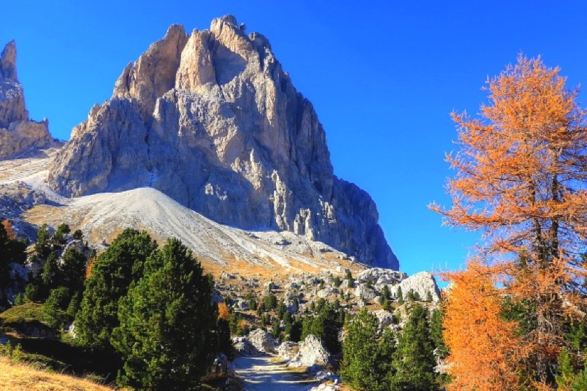 Trentino7