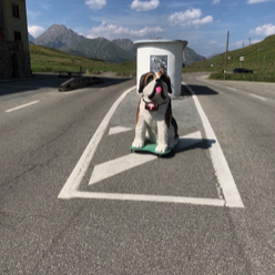 St. Gotthard Pass