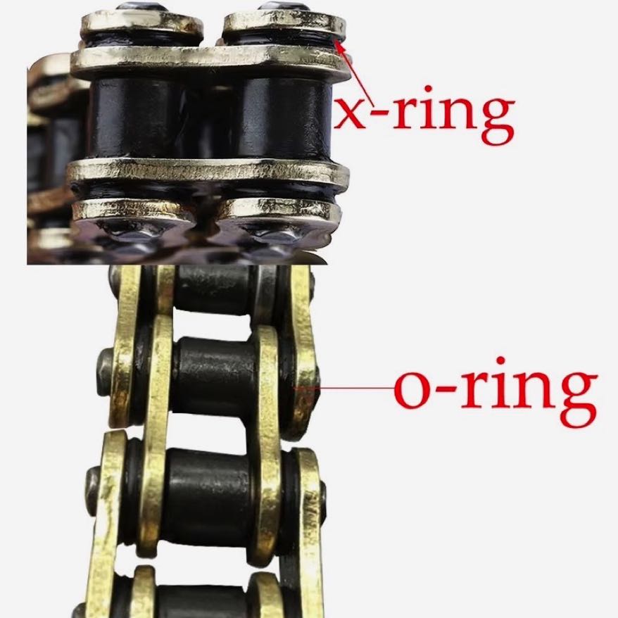 X-Ring oder O-Ring